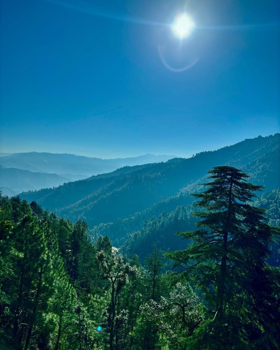Summer Hill Resort Chail Dış mekan fotoğraf